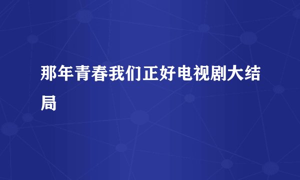 那年青春我们正好电视剧大结局