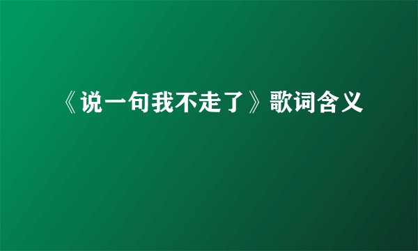 《说一句我不走了》歌词含义