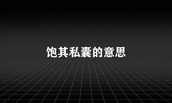 饱其私囊的意思