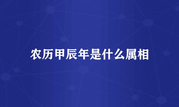 农历甲辰年是什么属相