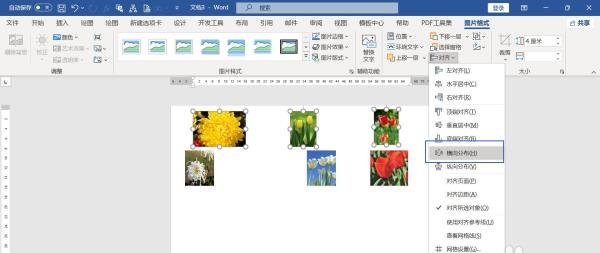 word6张图片排版