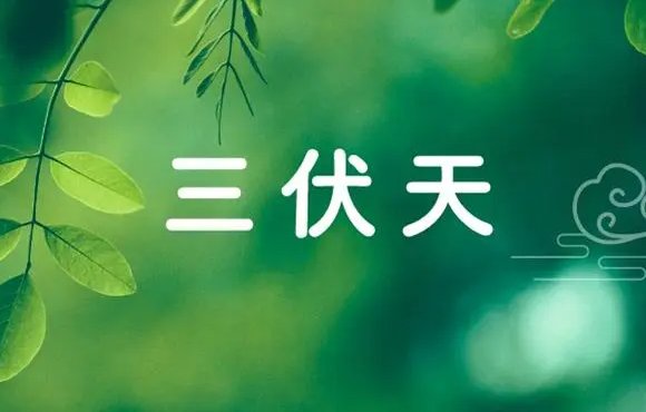 三伏天从什么时候开始算