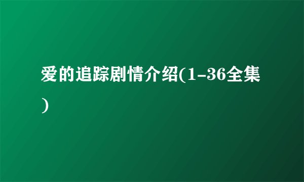 爱的追踪剧情介绍(1-36全集)