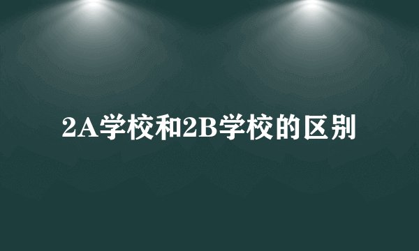 2A学校和2B学校的区别