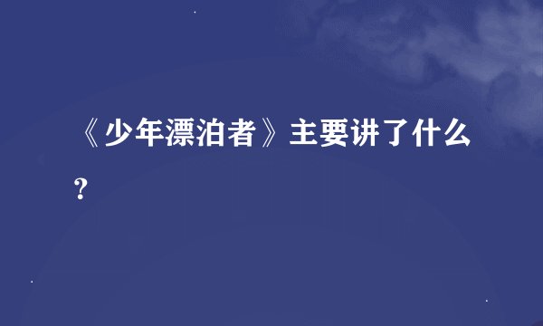 《少年漂泊者》主要讲了什么?