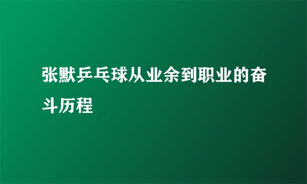 张默乒乓球从业余到职业的奋斗历程