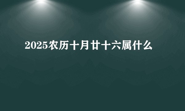 2025农历十月廿十六属什么