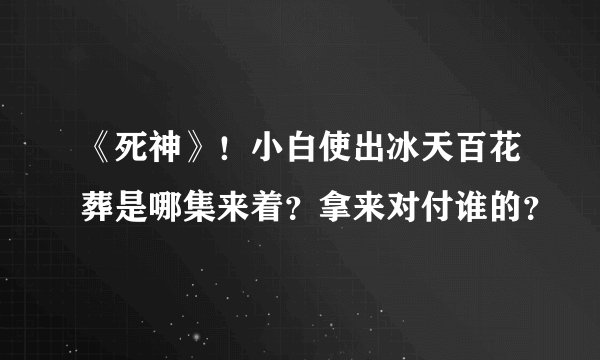 《死神》！小白使出冰天百花葬是哪集来着？拿来对付谁的？