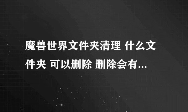魔兽世界文件夹清理 什么文件夹 可以删除 删除会有什么影响...