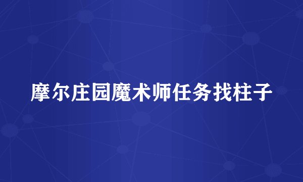 摩尔庄园魔术师任务找柱子