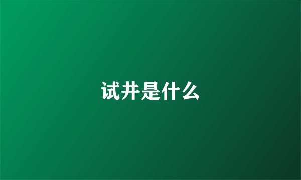 试井是什么
