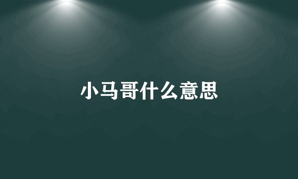 小马哥什么意思