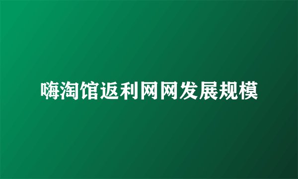 嗨淘馆返利网网发展规模