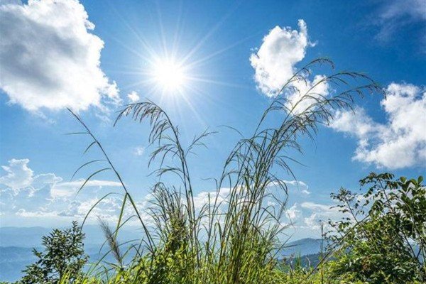 2019年三伏一共多少天？