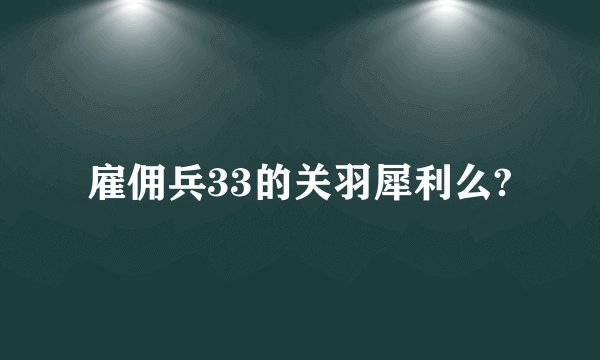 雇佣兵33的关羽犀利么?