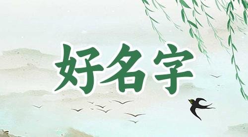 【鲁伽欣】这个名字好么？相关名字推荐