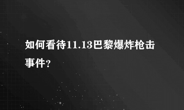 如何看待11.13巴黎爆炸枪击事件？