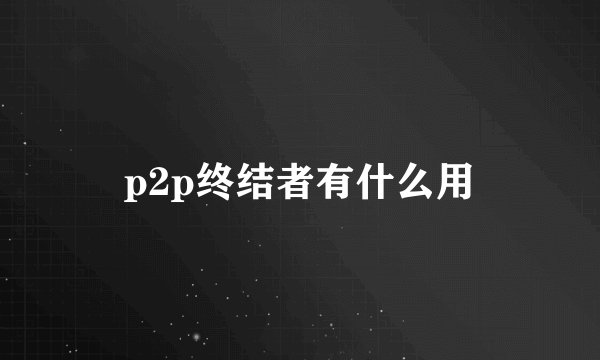 p2p终结者有什么用