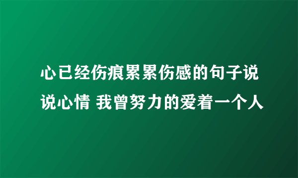 心已经伤痕累累伤感的句子说说心情 我曾努力的爱着一个人