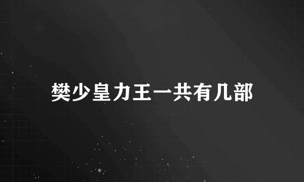 樊少皇力王一共有几部