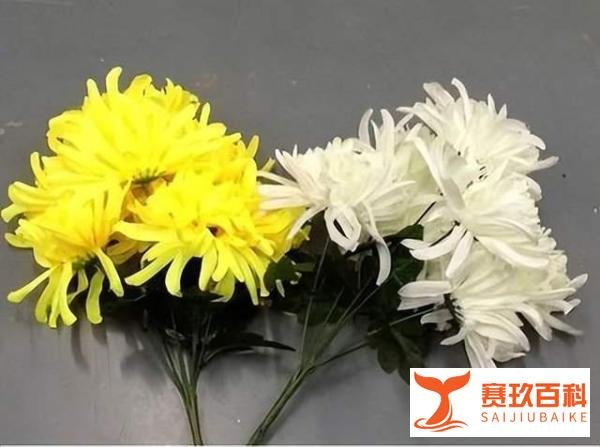 无尽的思念—怀念夏学銮先生