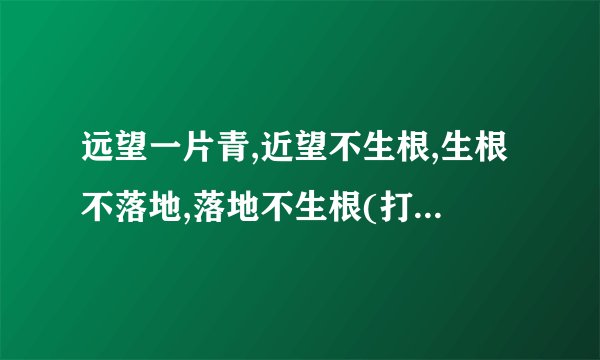 远望一片青,近望不生根,生根不落地,落地不生根(打一植物)谜底及原因