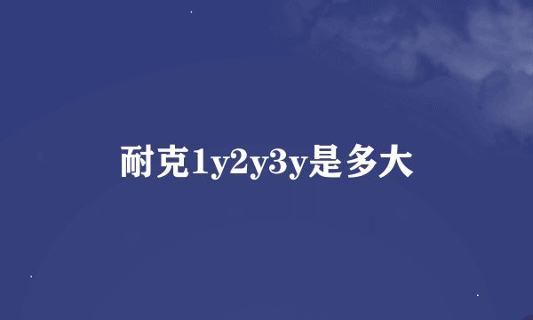 耐克1y2y3y是多大