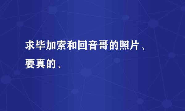求毕加索和回音哥的照片、 要真的、