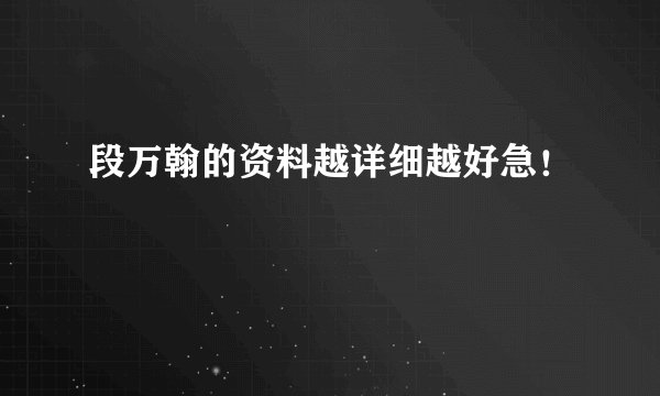 段万翰的资料越详细越好急！