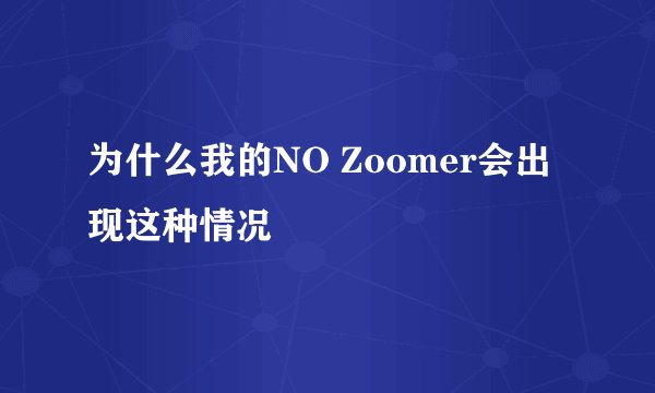 为什么我的NO Zoomer会出现这种情况