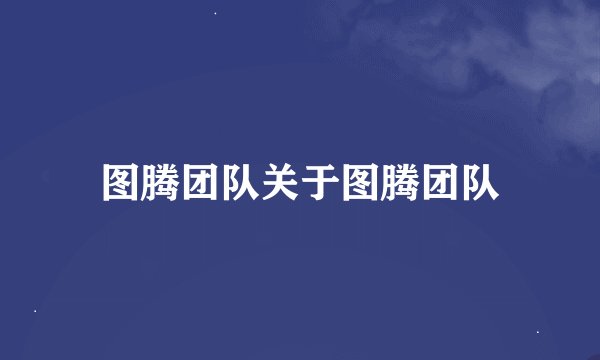 图腾团队关于图腾团队