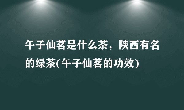 午子仙茗是什么茶，陕西有名的绿茶(午子仙茗的功效)
