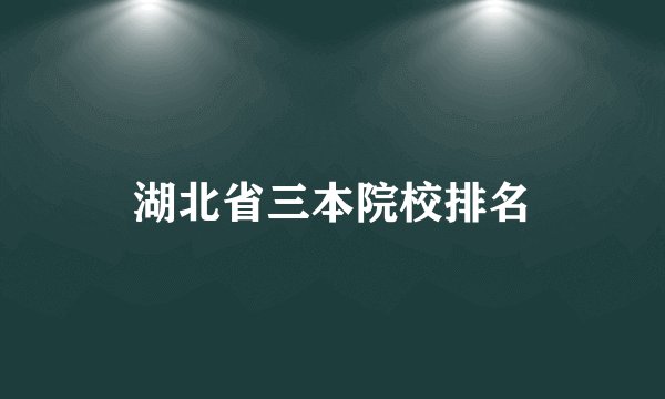 湖北省三本院校排名
