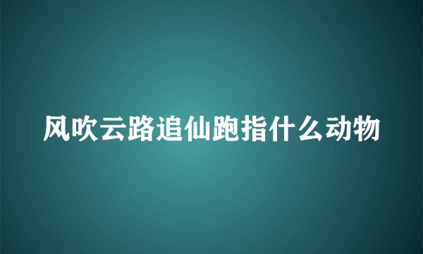 风吹云路追仙跑指什么动物