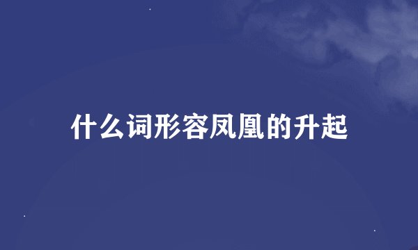 什么词形容凤凰的升起