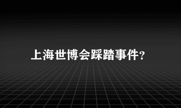 上海世博会踩踏事件？
