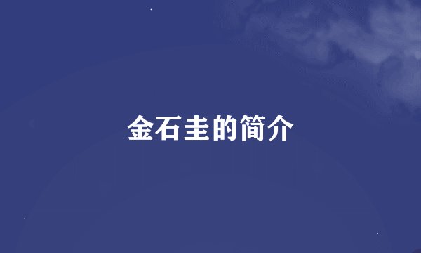 金石圭的简介