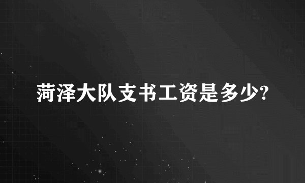 菏泽大队支书工资是多少?