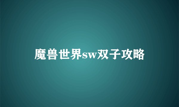 魔兽世界sw双子攻略