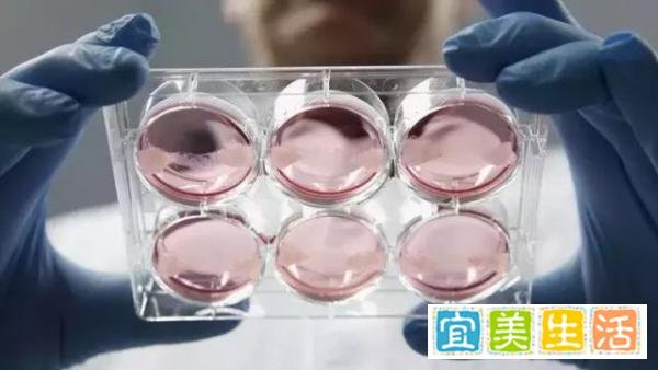 必胜客也开始卖人造肉披萨了！到底是大趋势还是新式“智商税”？