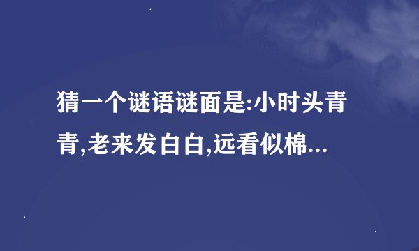 猜一个谜语谜面是:小时头青青,老来发白白,远看似棉花,风来起白浪.
