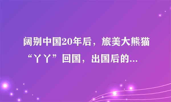 阔别中国20年后,旅美大熊猫“丫丫”回国,出国后的样子太心疼