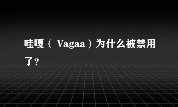 哇嘎（ Vagaa）为什么被禁用了？