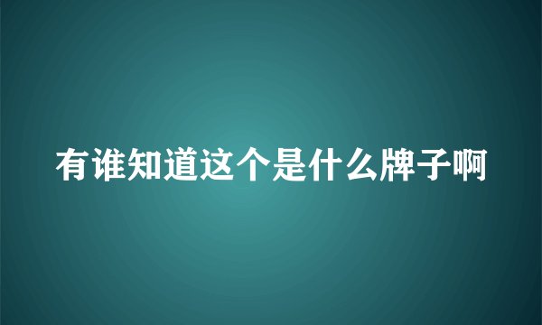 有谁知道这个是什么牌子啊