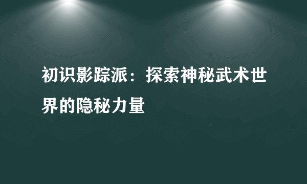 初识影踪派：探索神秘武术世界的隐秘力量
