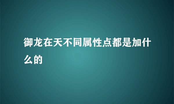 御龙在天不同属性点都是加什么的