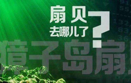獐子岛融资9000万一事,到底是怎么一回事?