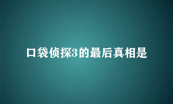 口袋侦探3的最后真相是