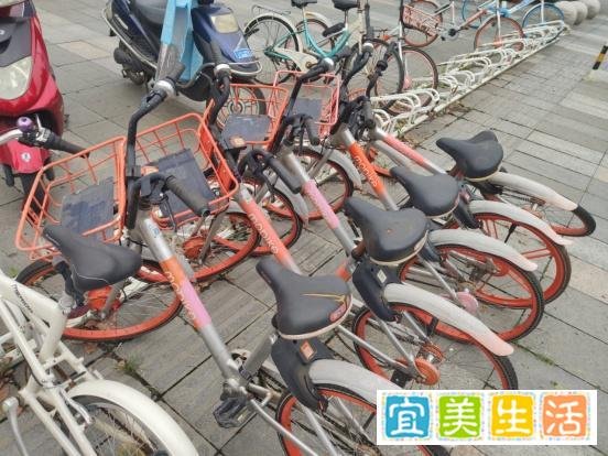 铸源带新单车项目来,永倍达会员钱咋办