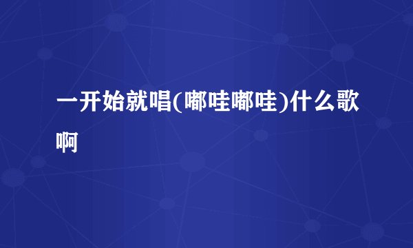 一开始就唱(嘟哇嘟哇)什么歌啊